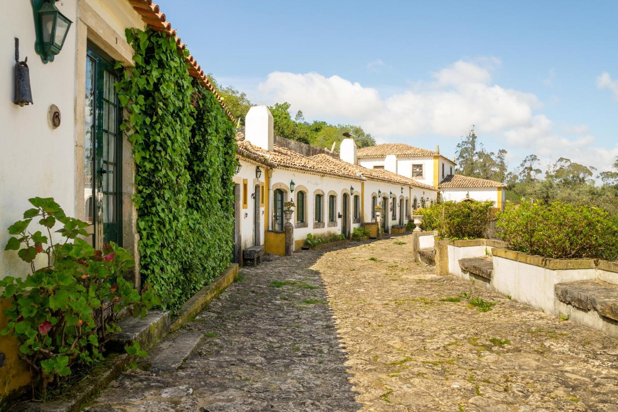Quinta Do Brejo - Turismo Equestre Villa Malveira Buitenkant foto